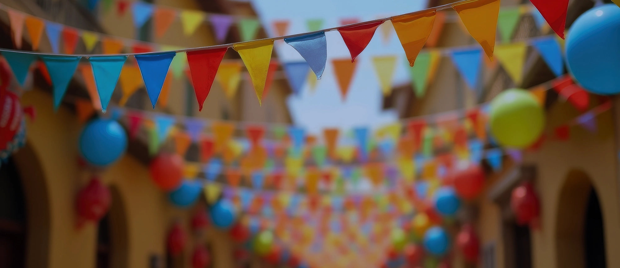 immagine festa patronale